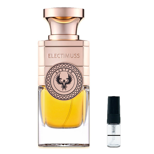 Electimuss - AUSTER extrait